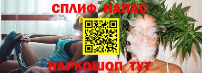 индика Гусев