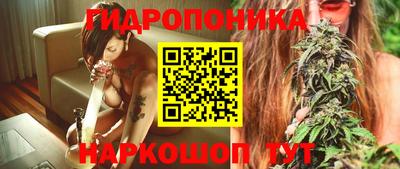 индика Гусев