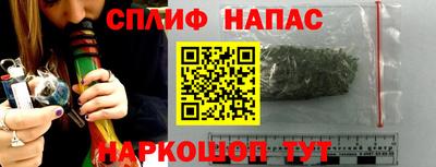 индика Гусев