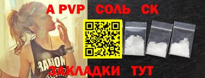 индика Гусев