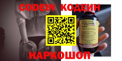 индика Гусев