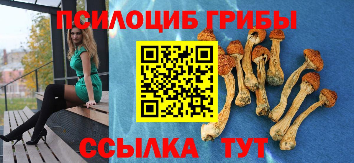 купить   Галлюциногенные грибы MAGIC MUSHROOMS  Калуга  Вход с VPN  Галлюциногенные грибы Psilocybine cubensis 