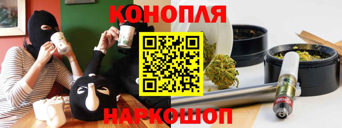 Конопля сатива Калуга